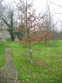 Greenwich Meridian Marker; England; Lincolnshire; East Kirkby